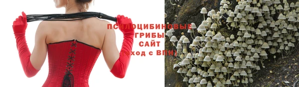 прущий лед Белоозёрский