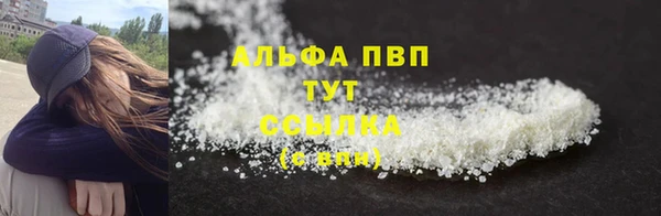 трава Белокуриха