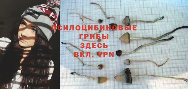 трава Белокуриха