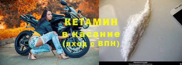 трава Белокуриха